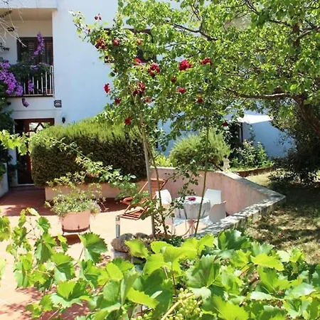 بيت ضيافة Gassner