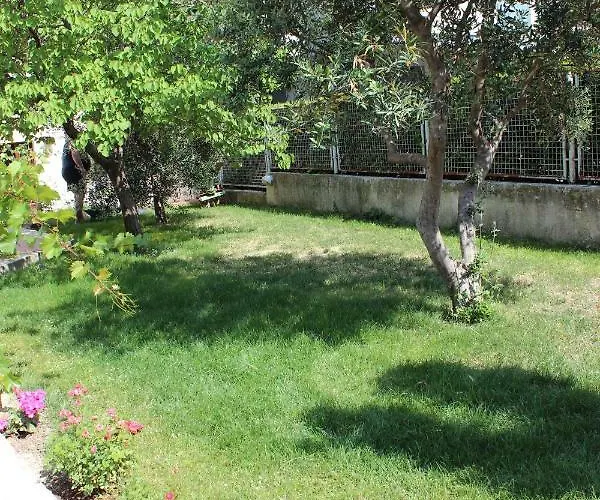 Gassner 3*