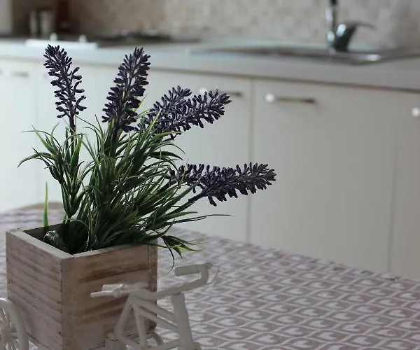 Gassner Affittacamere