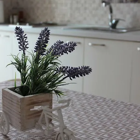 Gassner بيت ضيافة